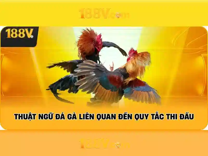 Trải nghiệm cá cược 188V