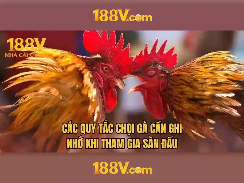 188V – Hướng Dẫn Đăng Ký