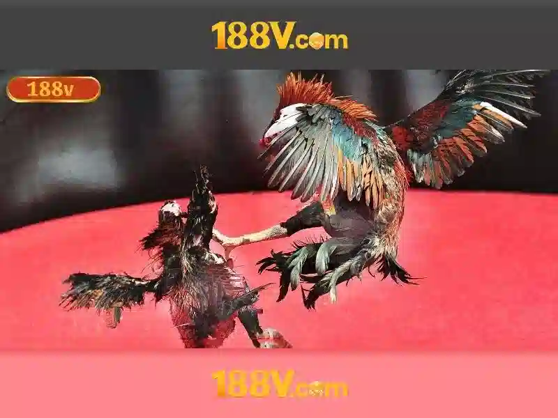 Quy Trình Đăng Nhập 188V