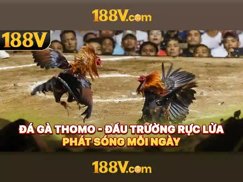 188V nhà cái