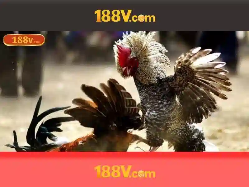 nhận thưởng Slot 188V