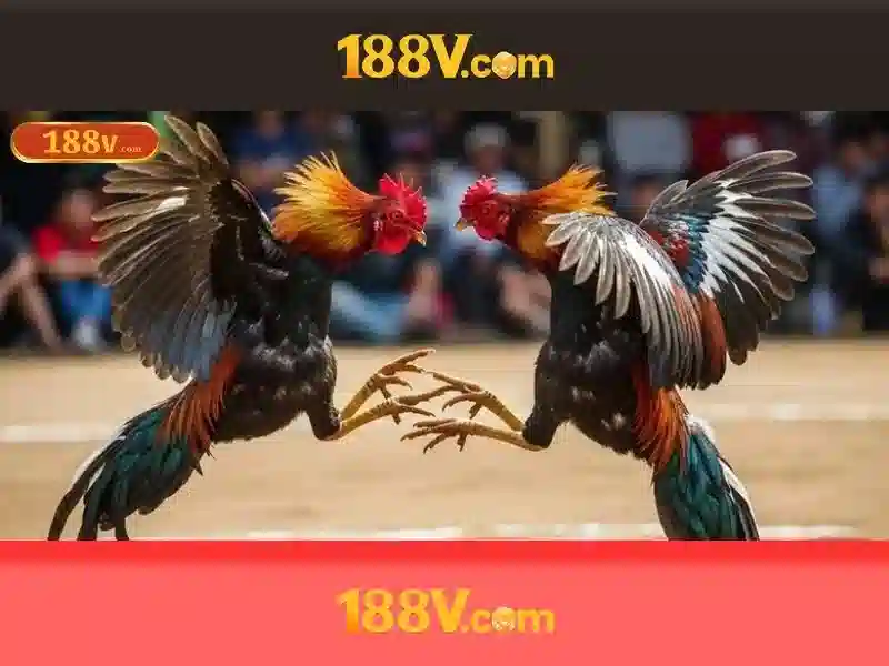 Hướng dẫn tải ứng dụng 188V