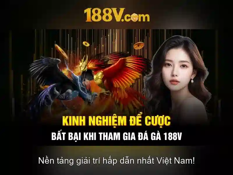 Ưu đãi đăng ký 188v