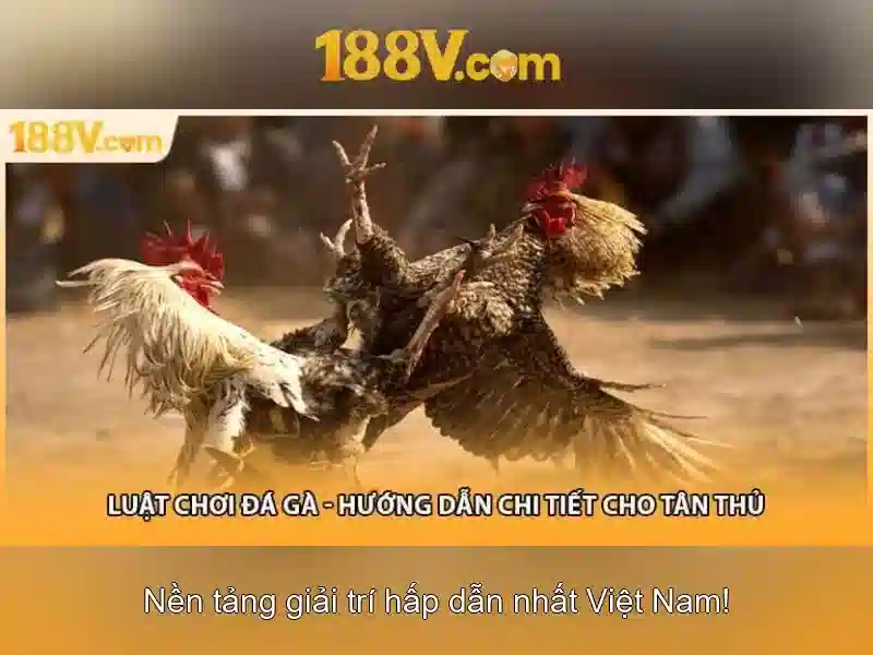 Khuyến Mãi eSports 188v – Ưu Đãi Đặc Biệt Cho Thành Viên