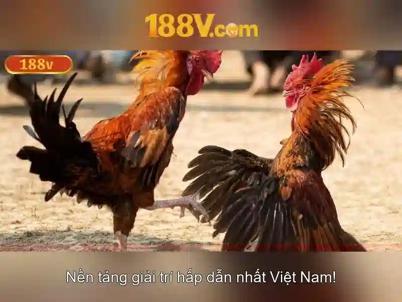 khuyến mãi 188V