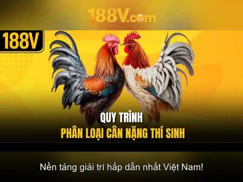 Link Dự Phòng 188V
