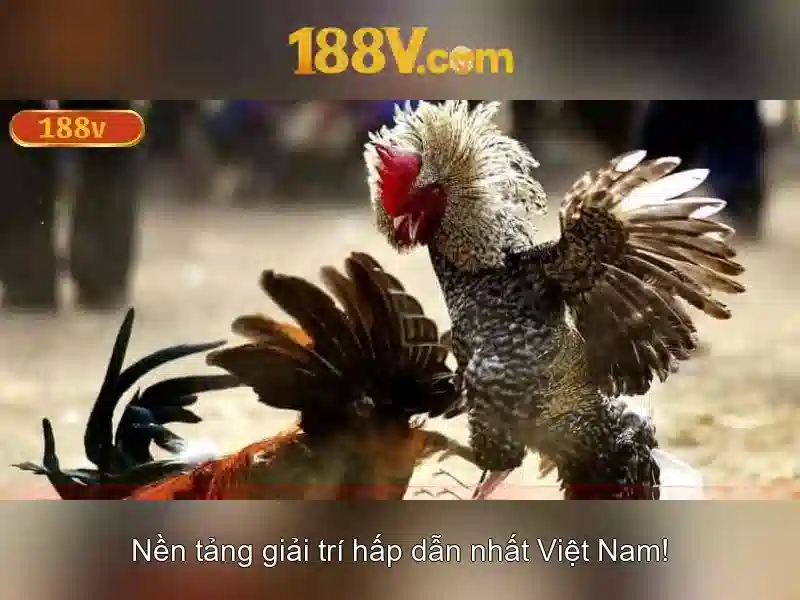 Trải Nghiệm 188V