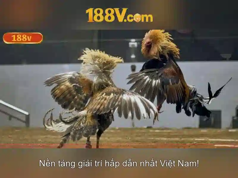 Tận Dụng Khuyến Mãi 188V