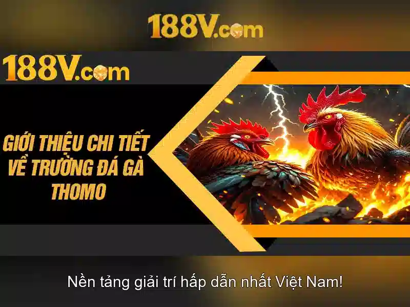 Điều Khoản Và Điều Kiện 188V – Hướng Dẫn Chi Tiết Về Quy Định Chơi Slot 2026