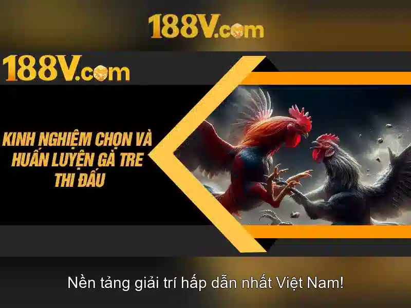 Thể Thao 188V