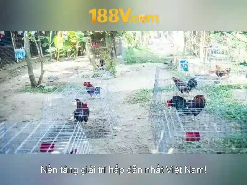 Casino Online 188V