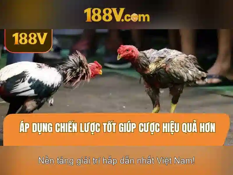 Tải ứng dụng 188V