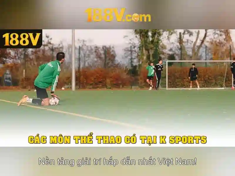Hướng Dẫn Sử Dụng Code 188V Mới Nhất
