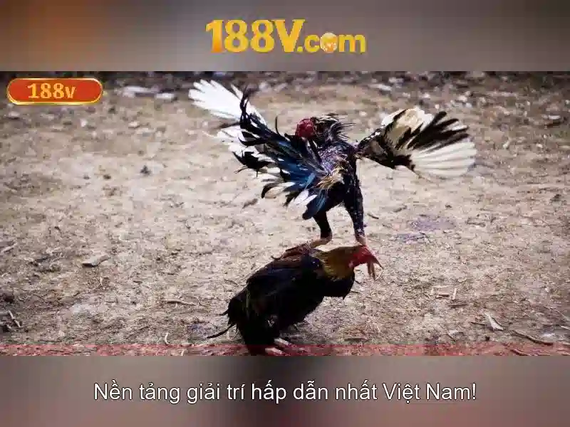 Hướng Dẫn Đăng Nhập