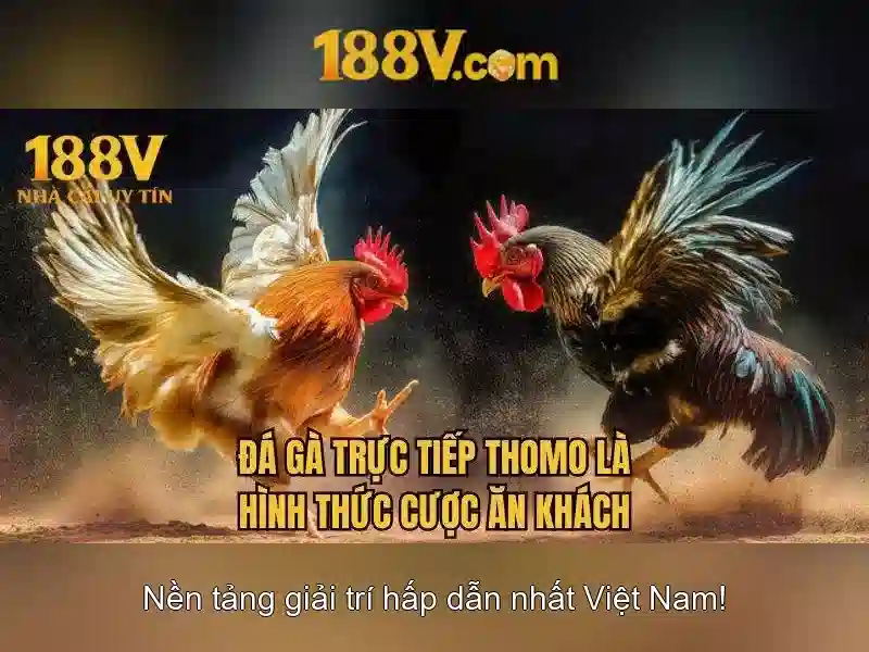 188V và Slot